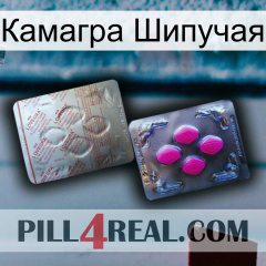 Камагра Шипучая 38